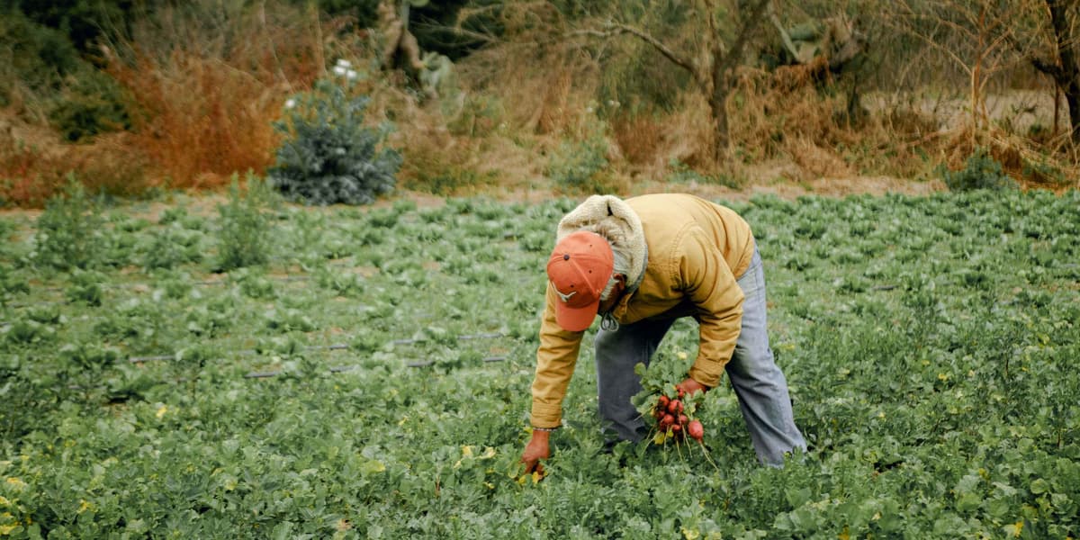 The Cost of Living Crisis Resilience Plan: 10 Things to Do This Year
